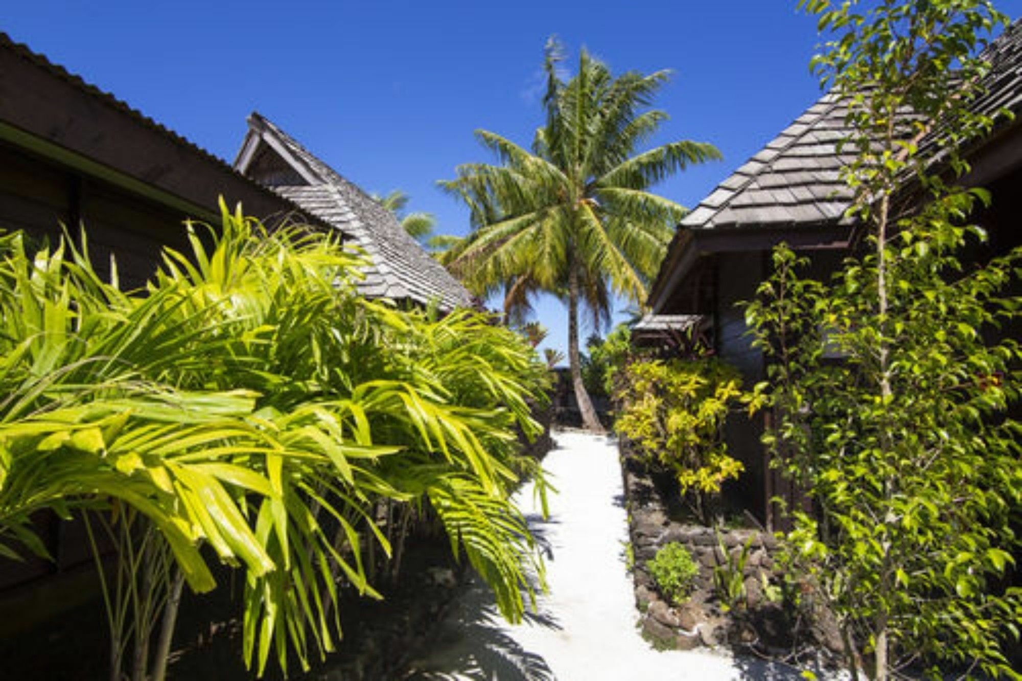 Oa Oa Lodge Bora Bora Exterior foto