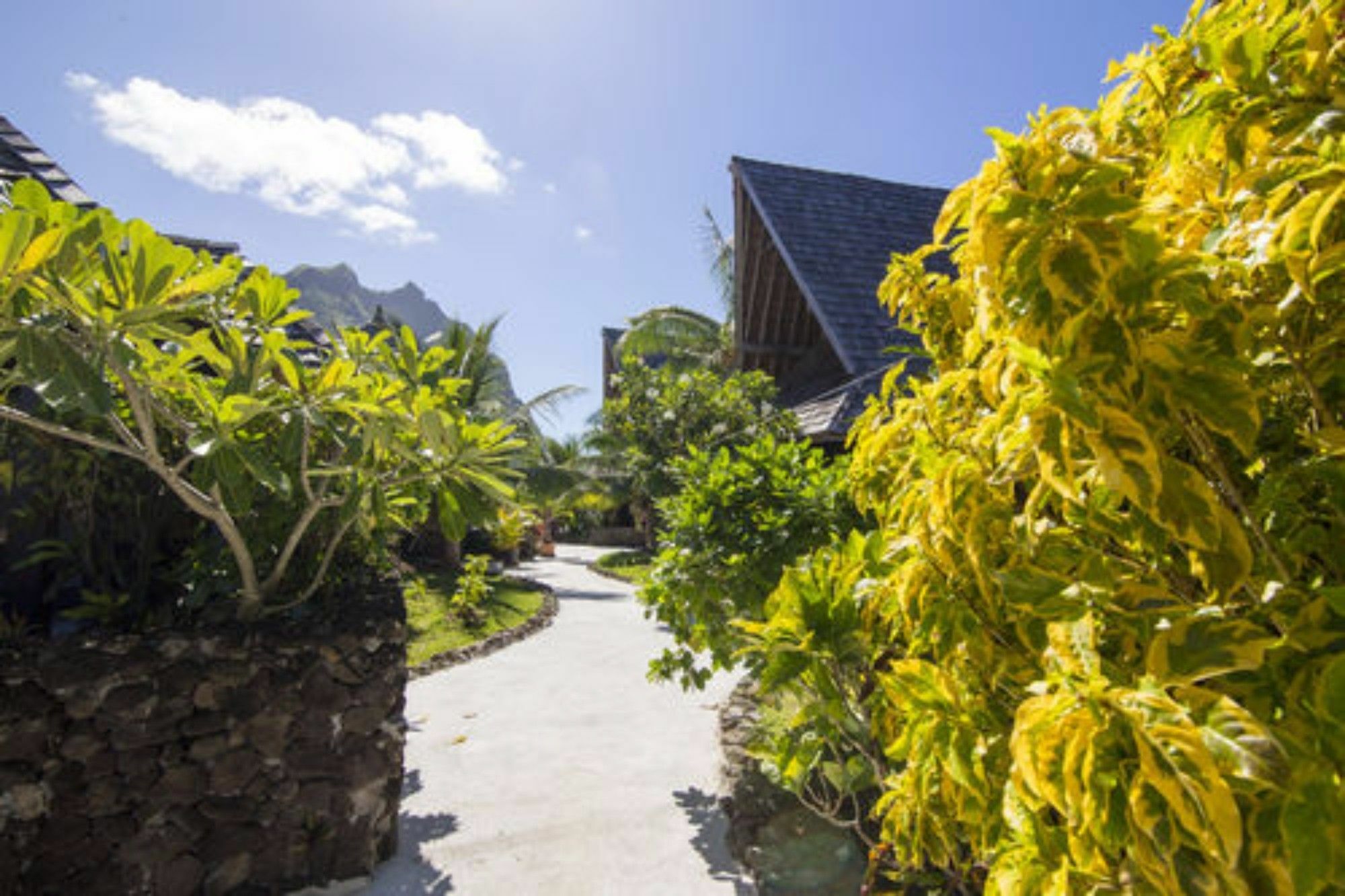 Oa Oa Lodge Bora Bora Exterior foto